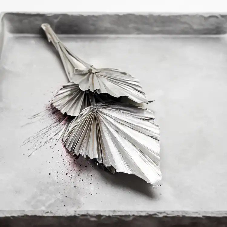 Palm Spear Silver Palma suszona srebrna2.png