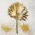 Palm SUN Gold Palma suszona złota3.png