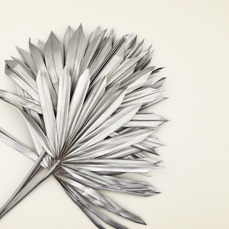 Palm SUN Silver Palma suszona srebrna.png