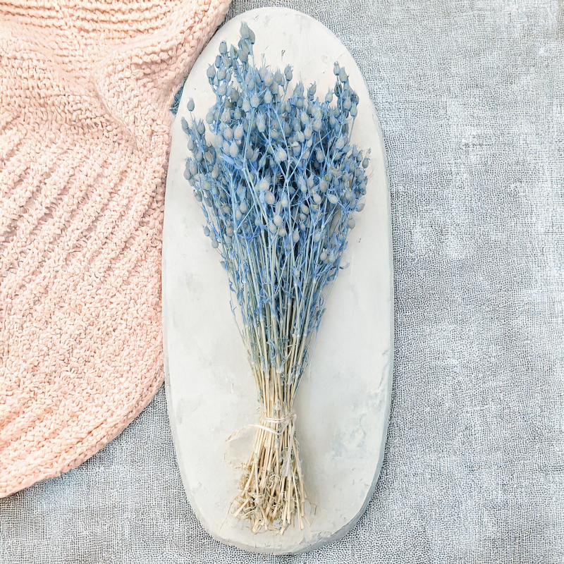 Silene lepnica rozdęta suszone niebieskie2.png