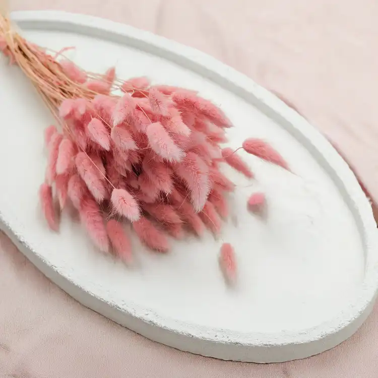 Lagurus ROZOWY suszony bunny tail pearl pink okl.png
