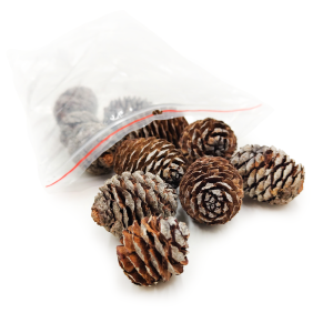 Muirii-Zapfen - Natürlich - 100g Packung