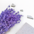Silene Lilac suszone lepnica rozdęta zbl1.png