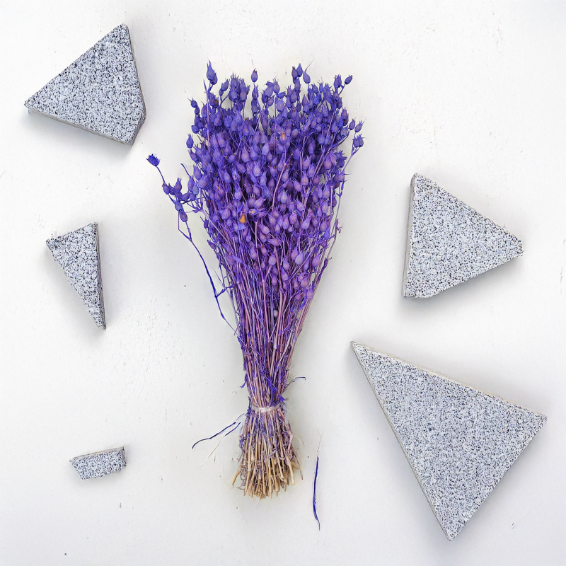 Silene Lilac suszone lepnica rozdęta zbl2.png