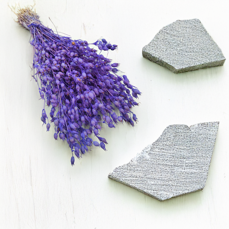 Silene Lilac suszone lepnica rozdęta zbl3.png