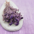 Lonas Lilac suszony kwiat3.png