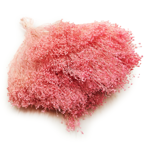 Broom Bloom Rozowe okl.png