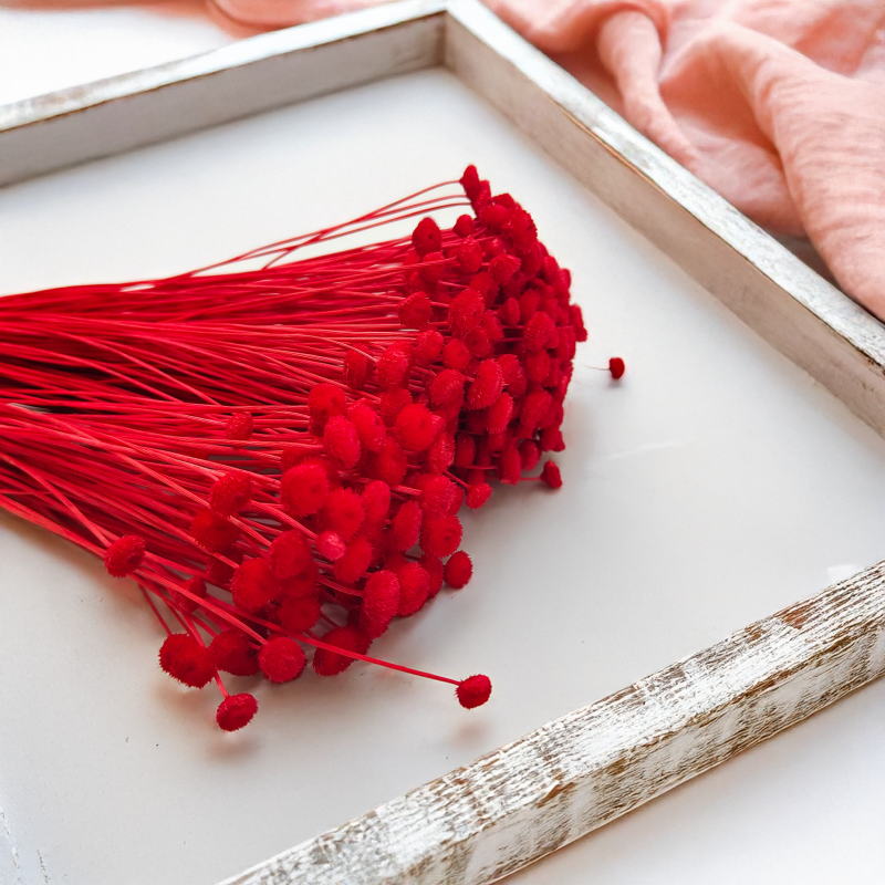 Botao Amarelino Czerwone bukiet zbl11.png