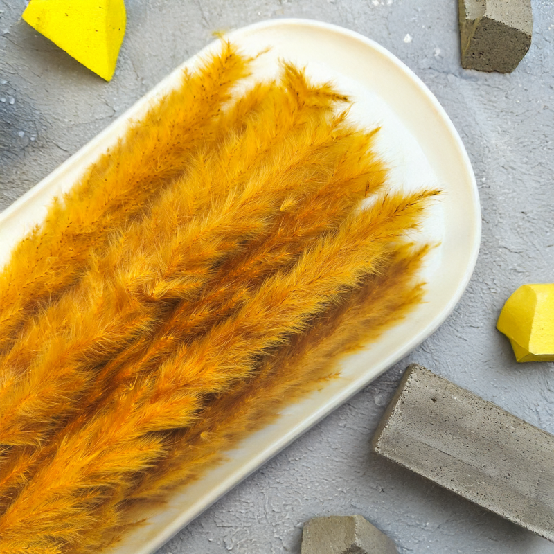 mini pampas musztardowy zbl2.png