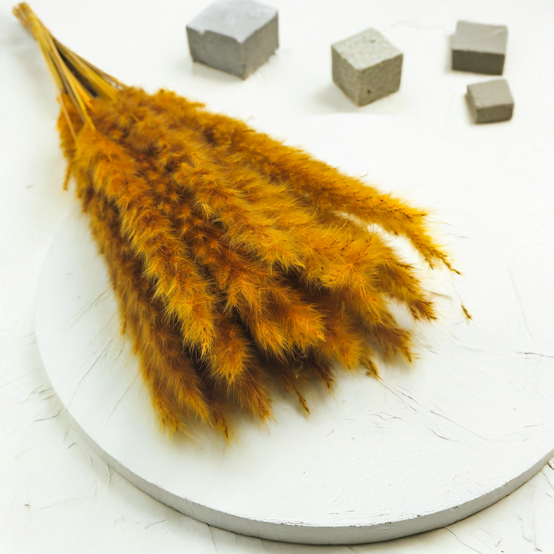 mini pampas musztardowy zbl4.png