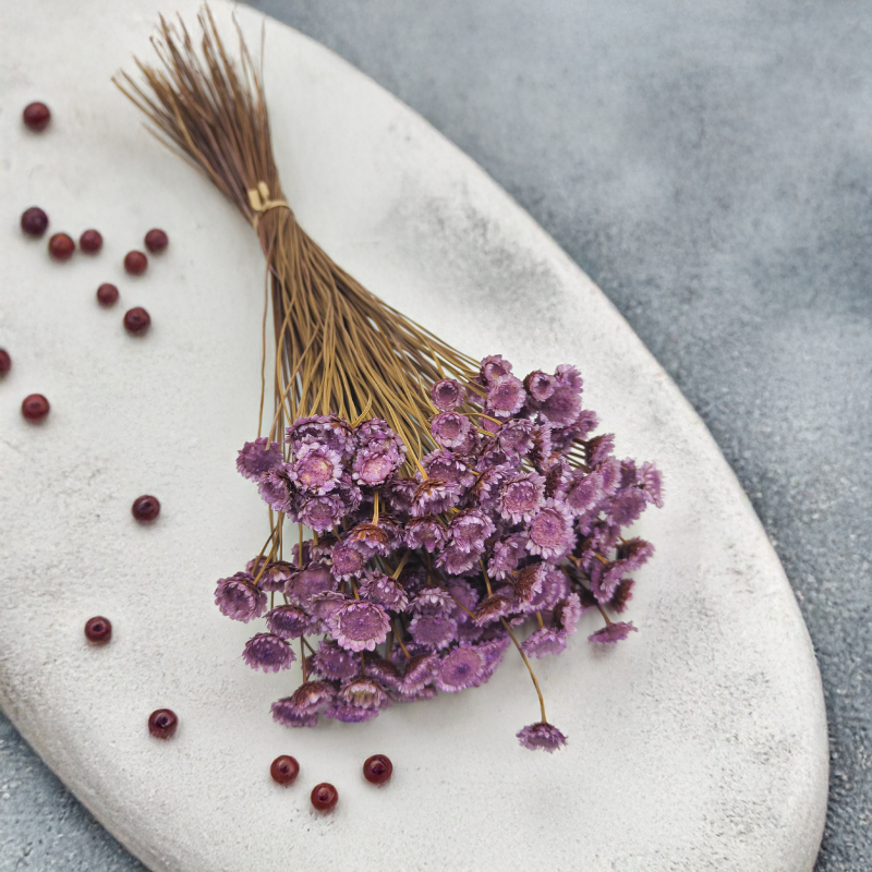 Glixia BIG Lawendowa_891.png