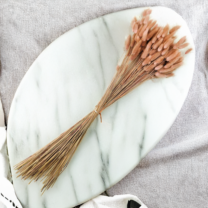 Lagurus Suszony dmuszek jajowaty Antyczny roz2.png