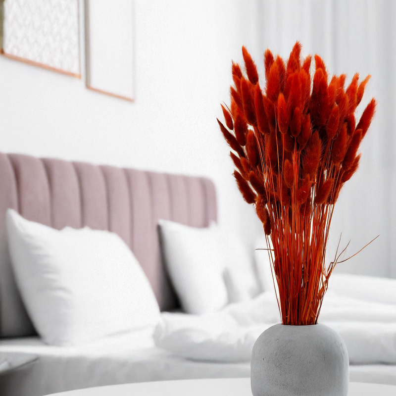 Lagurus Suszony dmuszek jajowaty Brązowy 1.png