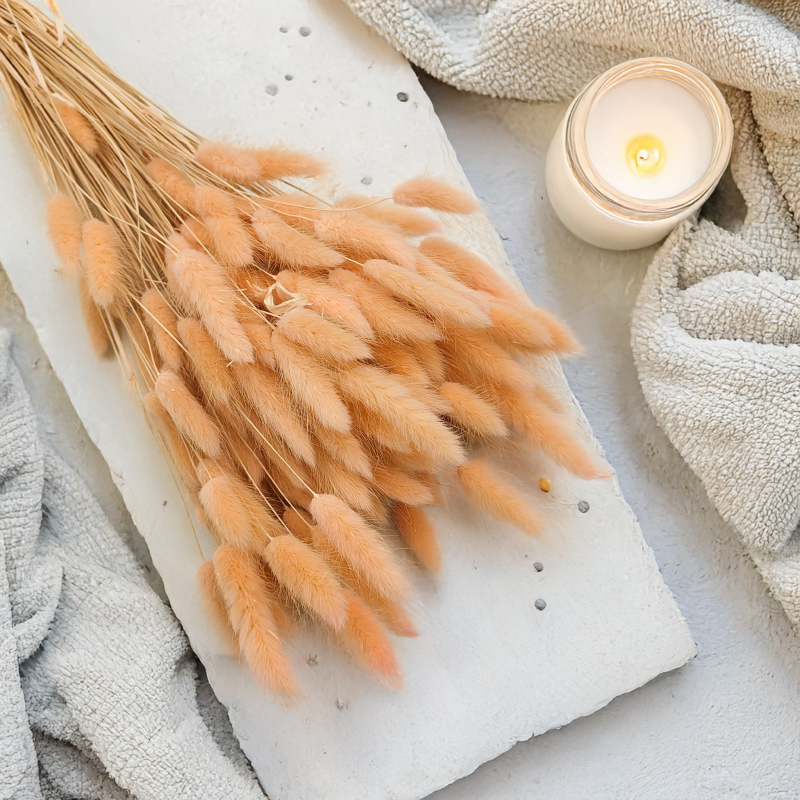 Lagurus Suszony dmuszek jajowaty Brzoskwiniowy 6.png