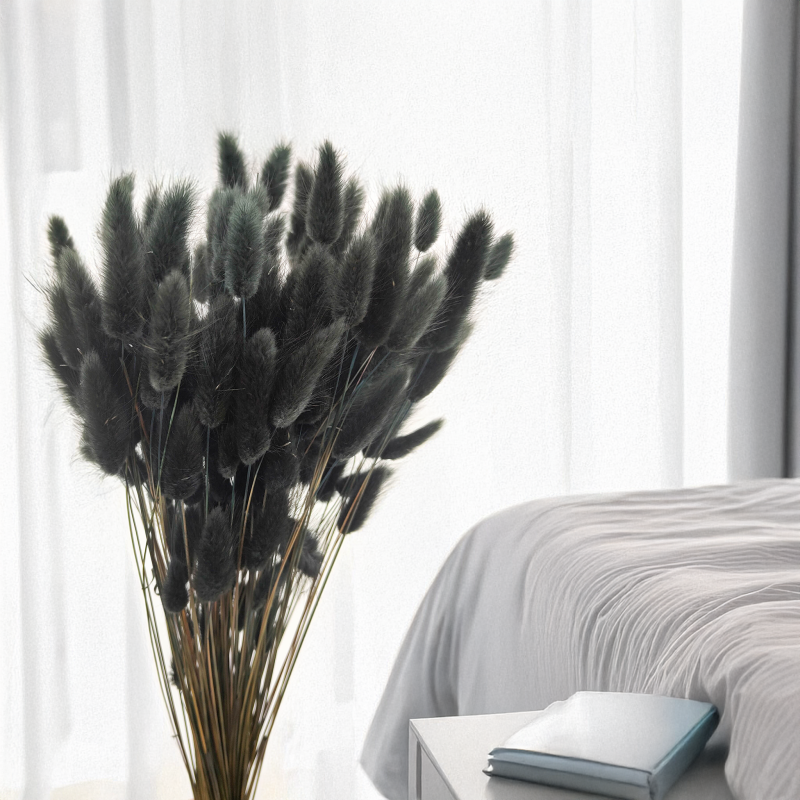 Lagurus Suszony dmuszek jajowaty Czarny 1.png