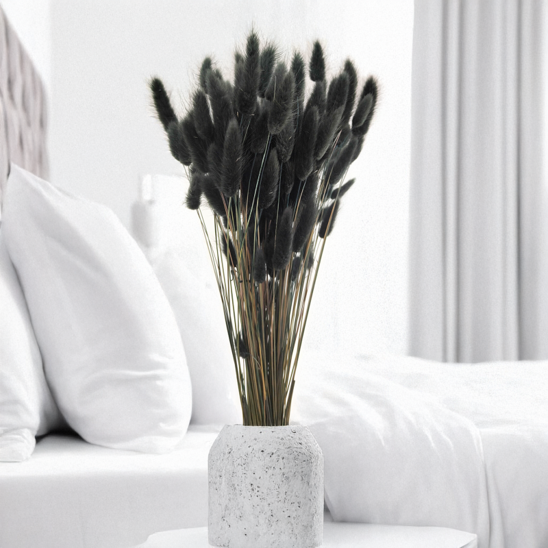 Lagurus Suszony dmuszek jajowaty czarny 2.png