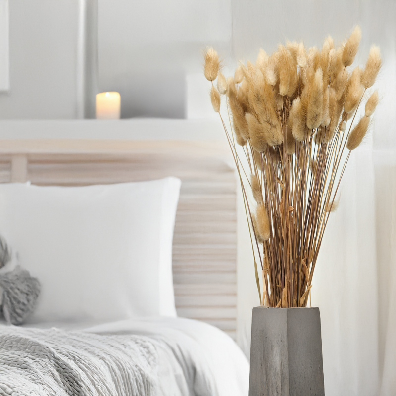 Lagurus Suszony dmuszek jajowaty Naturalny 3.png