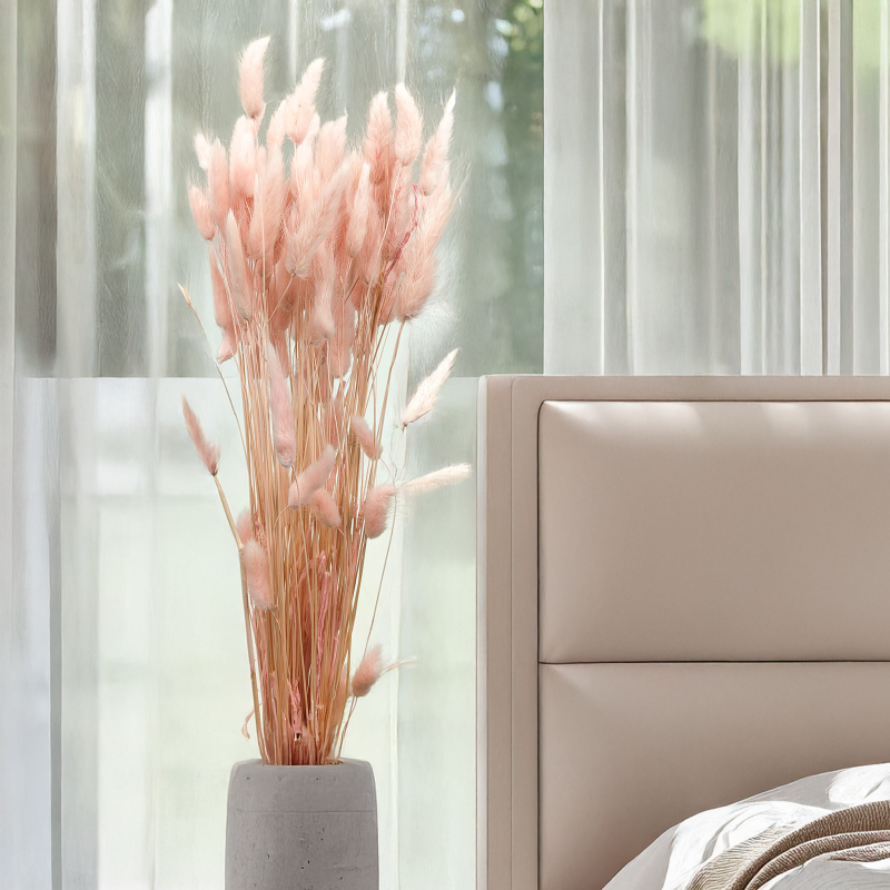 Lagurus Suszony dmuszek jajowaty perlowy roz 4.png