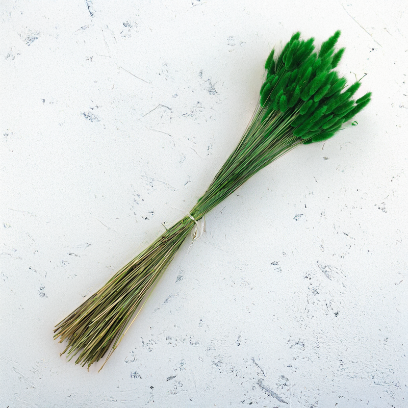 Lagurus Suszony dmuszek jajowaty Zielony 2.png