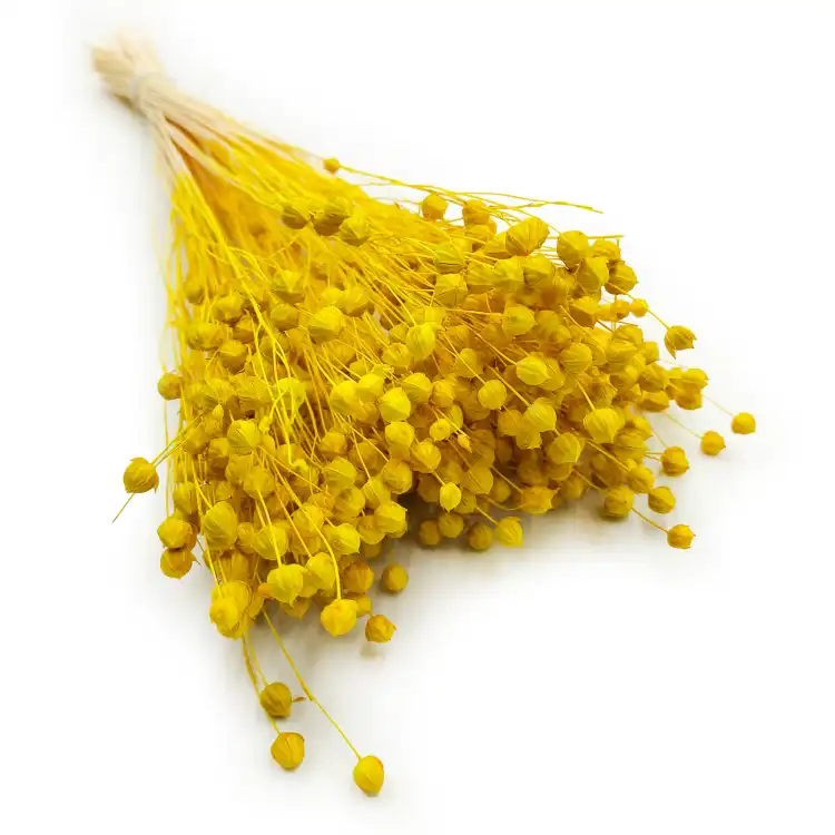 Len Suszony - Zolty5.png