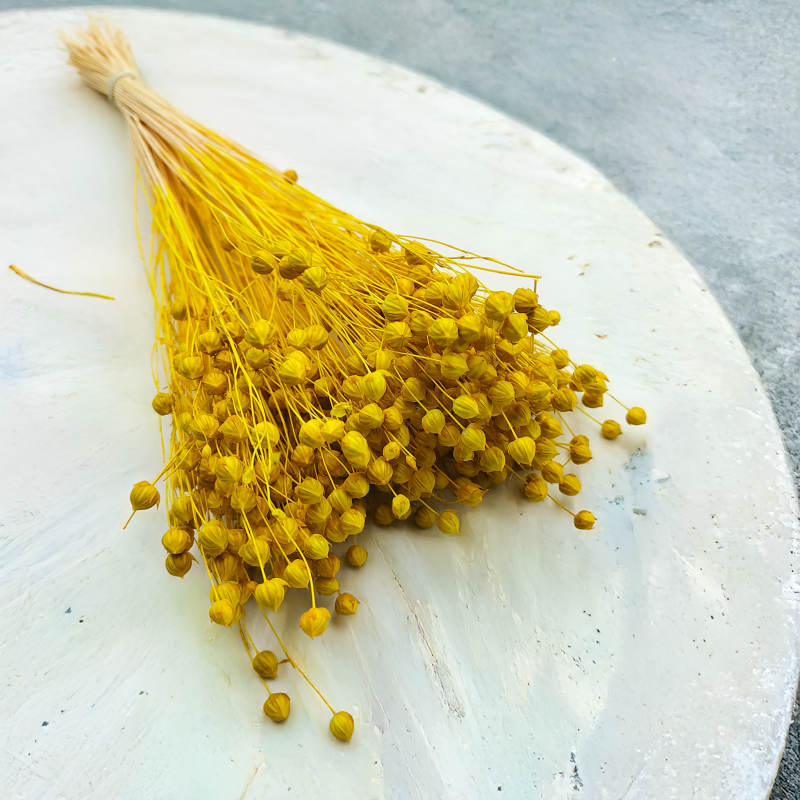 Len Suszony - Zolty6.png