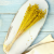 Len Suszony - Zolty1.png