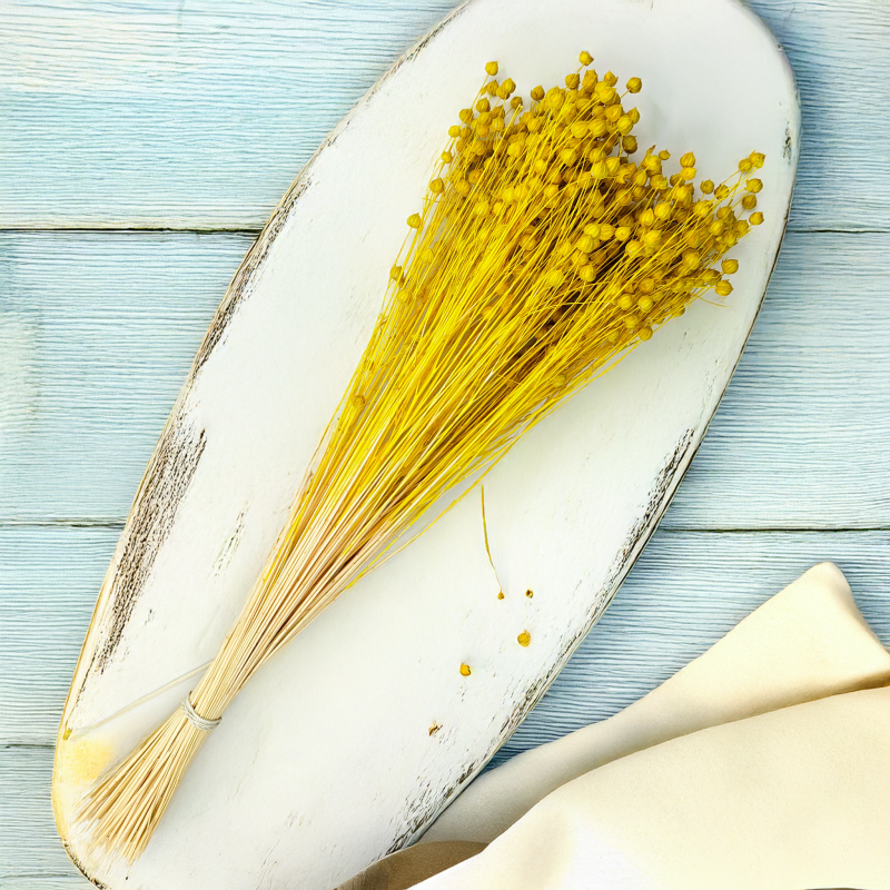 Len Suszony - Zolty1.png