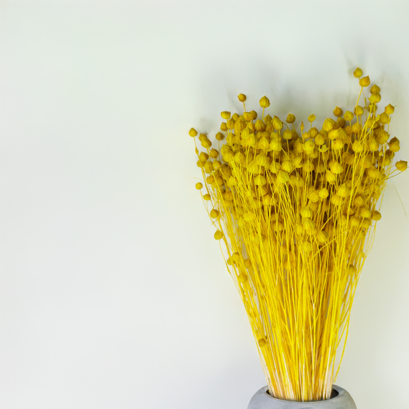 Len Suszony - Zolty2.png