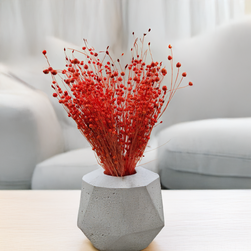 Len Suszony - Pomaranczowy 1.png