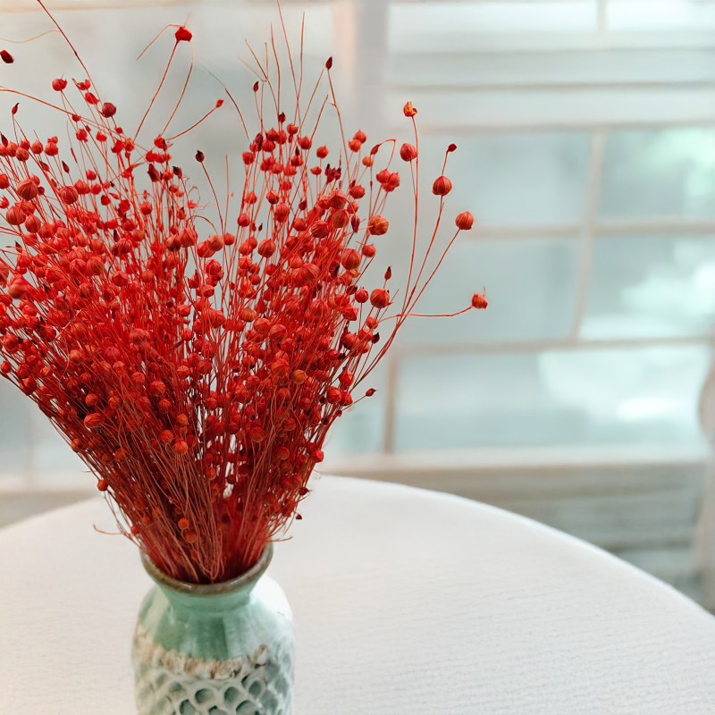 Len Suszony - Pomaranczowy 2.png