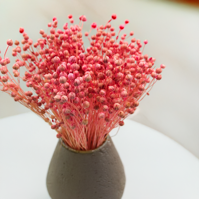 Len Suszony - Rozowy.png