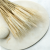 Pszenżyto suszone triticale suszone kłosy bielone 5.png