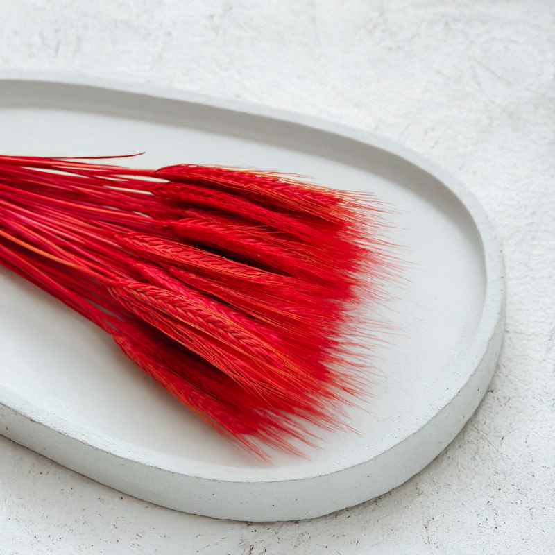 Pszenżyto suszone czerwone kłosy bukiet triticale 4.png