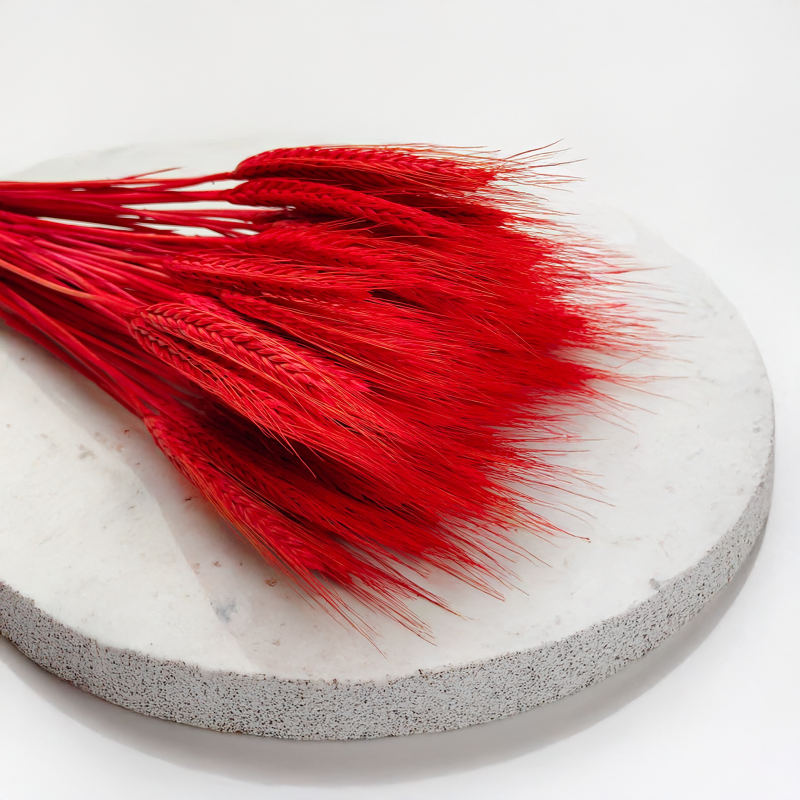 Pszenżyto suszone czerwone kłosy bukiet triticale 5.png