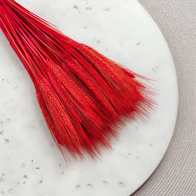 Pszenżyto suszone czerwone kłosy bukiet triticale 6.png