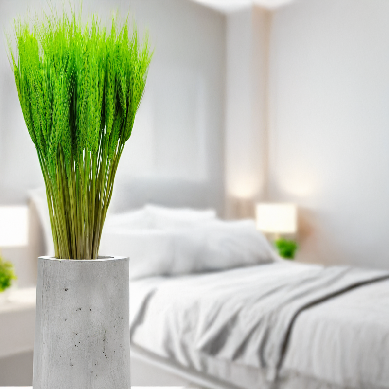 pszenżyto suszone Jasnozielone bukiet triticale kłosy 1.png