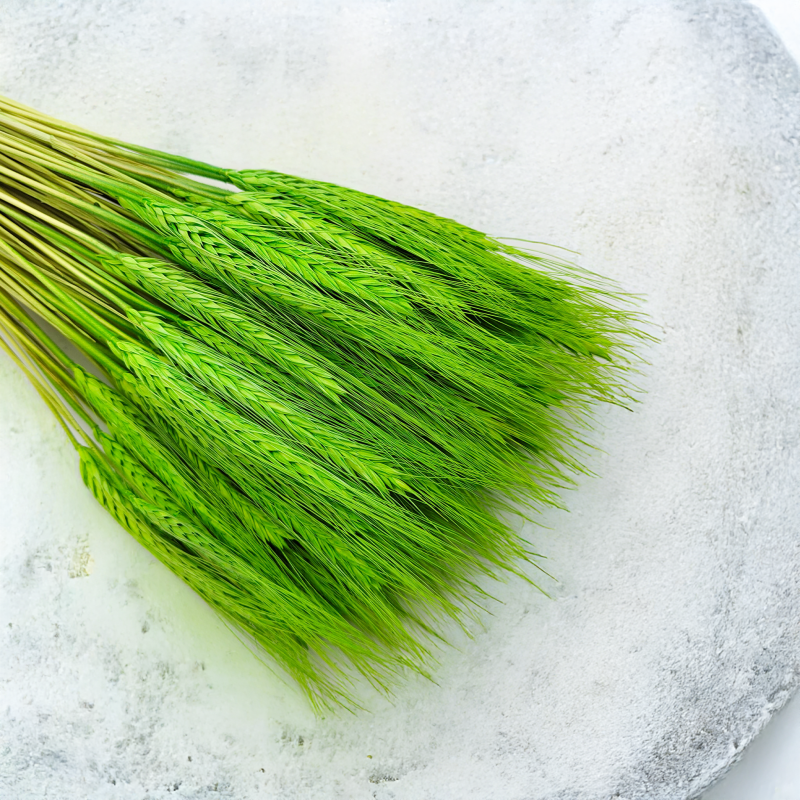 pszenżyto suszone Jasnozielone bukiet triticale kłosy 5.png