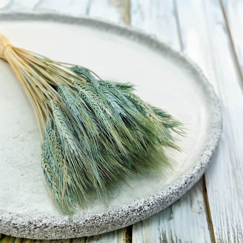 Pszenżyto suszone miętowe triticale kłosy bukiet 5.png