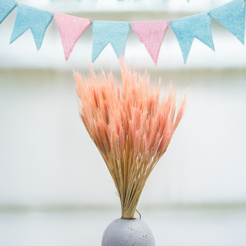 Pszenżyto suszone różowe triticale bukiet 1.png