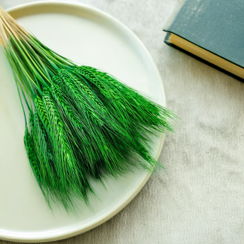 Pszenżyto zielone suszone kłosy bukiet 5.png