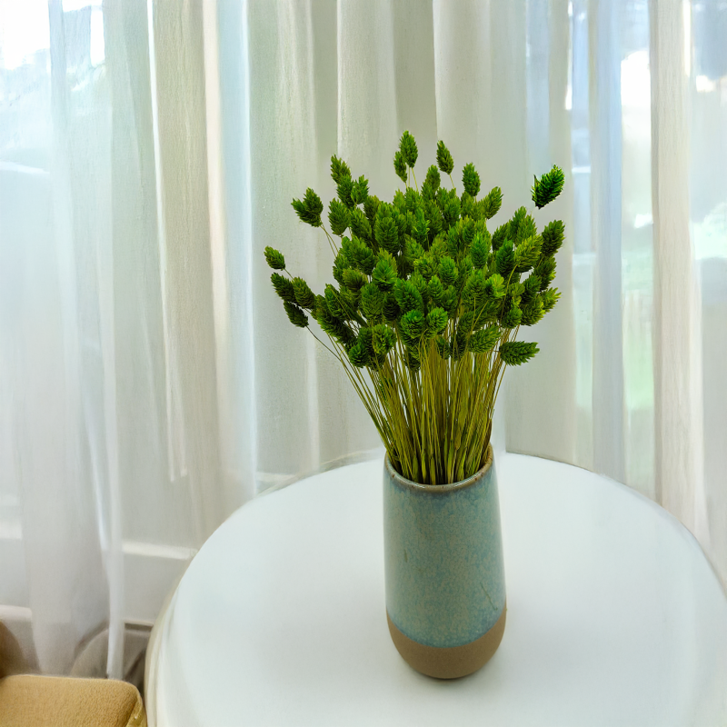 Suszony Phalaris - Kanar - (Mozga kanaryjska) - Seledynowy 2.png