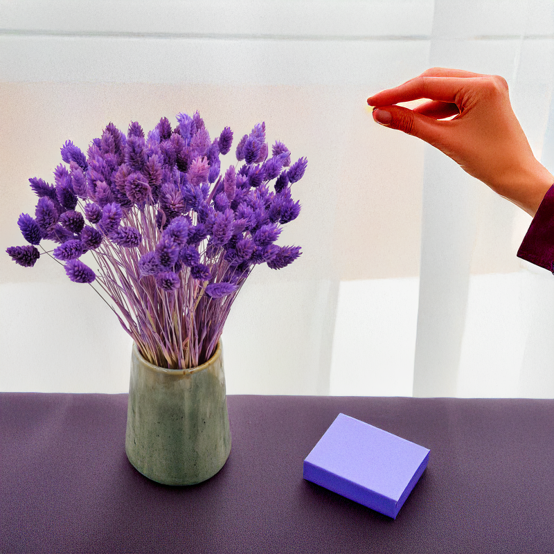 Suszony Phalaris - Kanar - (Mozga kanaryjska) - Fioletowy.png