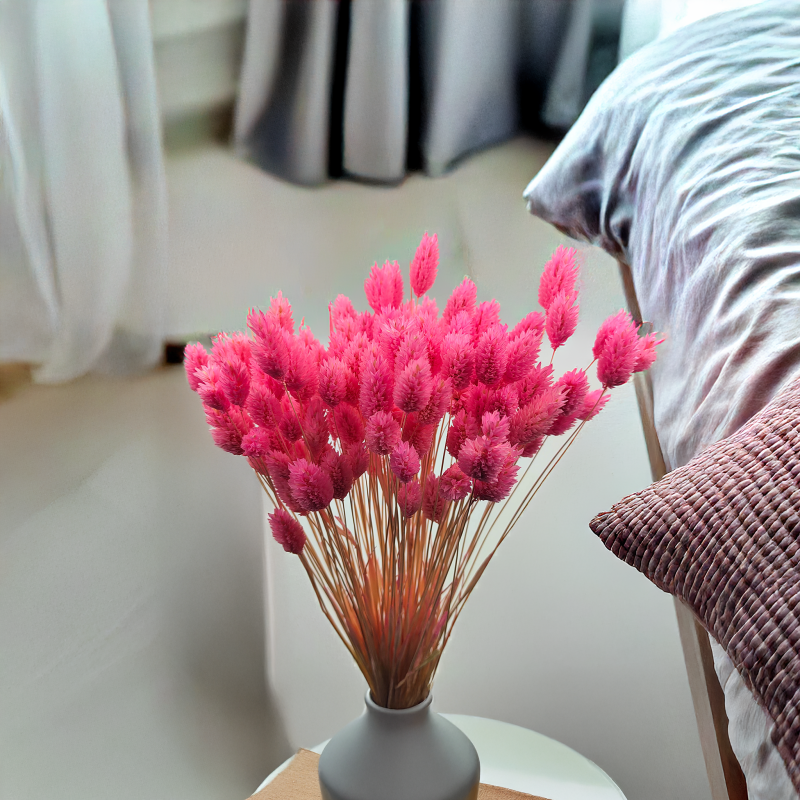 Suszony Phalaris - Kanar - (Mozga kanaryjska) - ciemnoróżowy 4.png