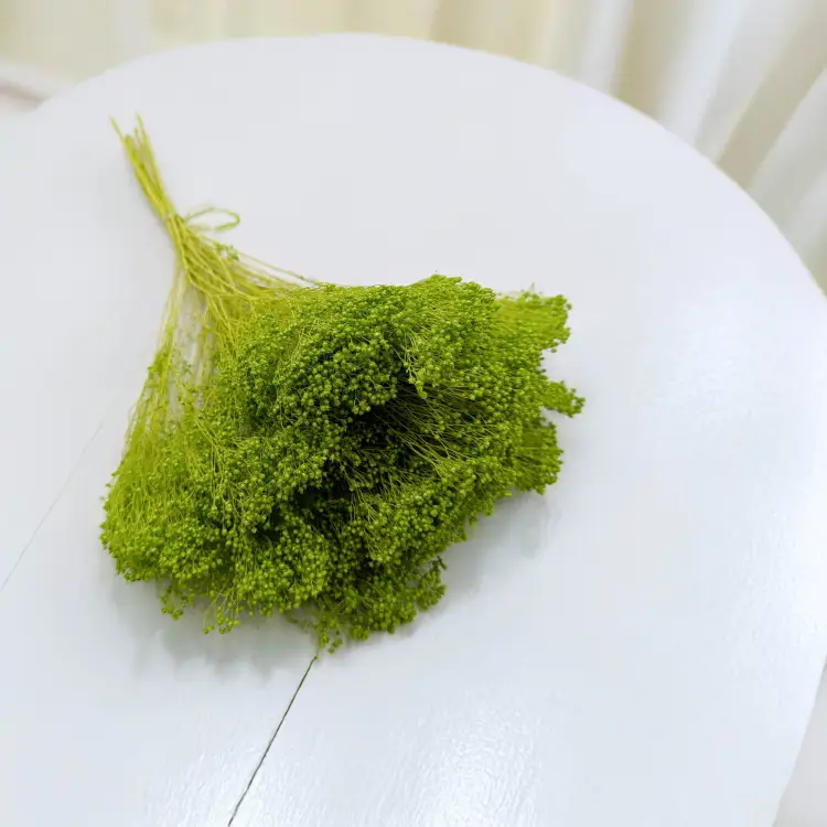 Broom Bloom zielony 1.jpg