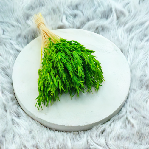 Owies zielony suszony 6.png