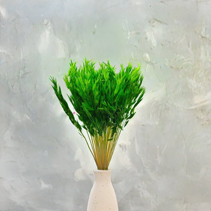 Owies zielony suszony 2.png