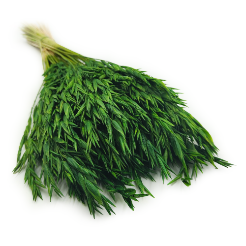 Owies suszony butelkowa zieleń 5.png