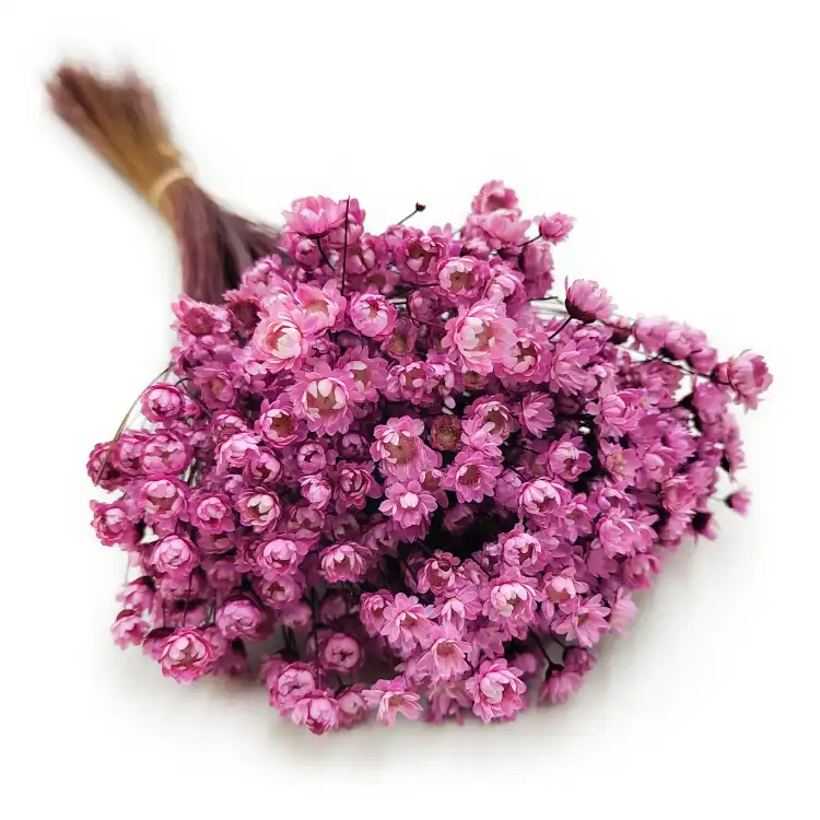 Glixia Różowa gliksja suszona kwiaty suszone bukiet 50g_86 7.png