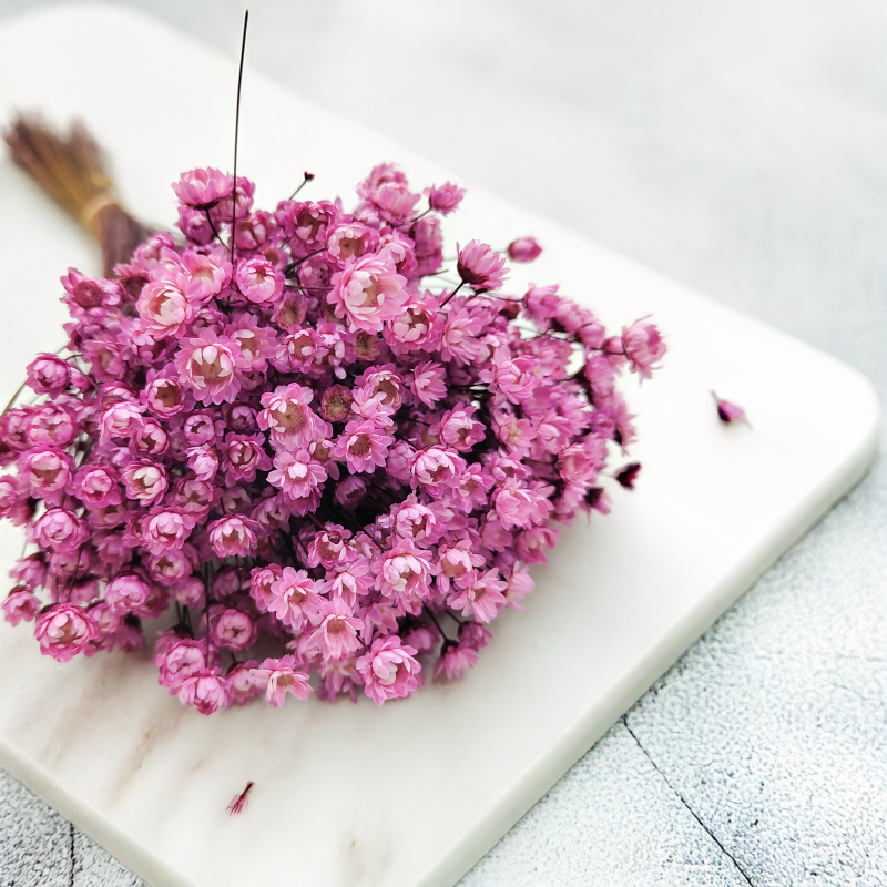 Glixia Różowa gliksja suszona kwiaty suszone bukiet 50g_86 6.png