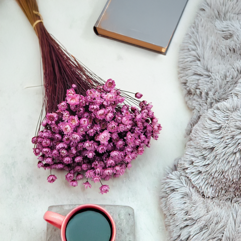 Glixia Różowa gliksja suszona kwiaty suszone bukiet 50g_86 5.png